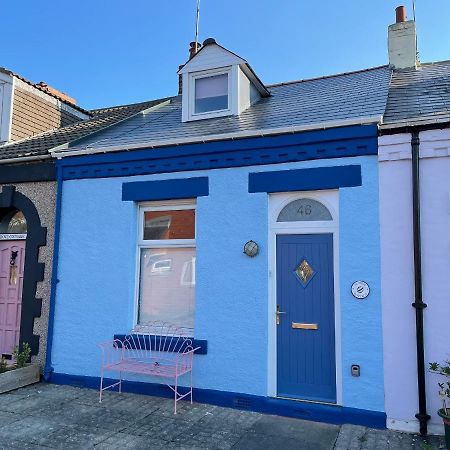Cowrie Cottage North Shields Dış mekan fotoğraf