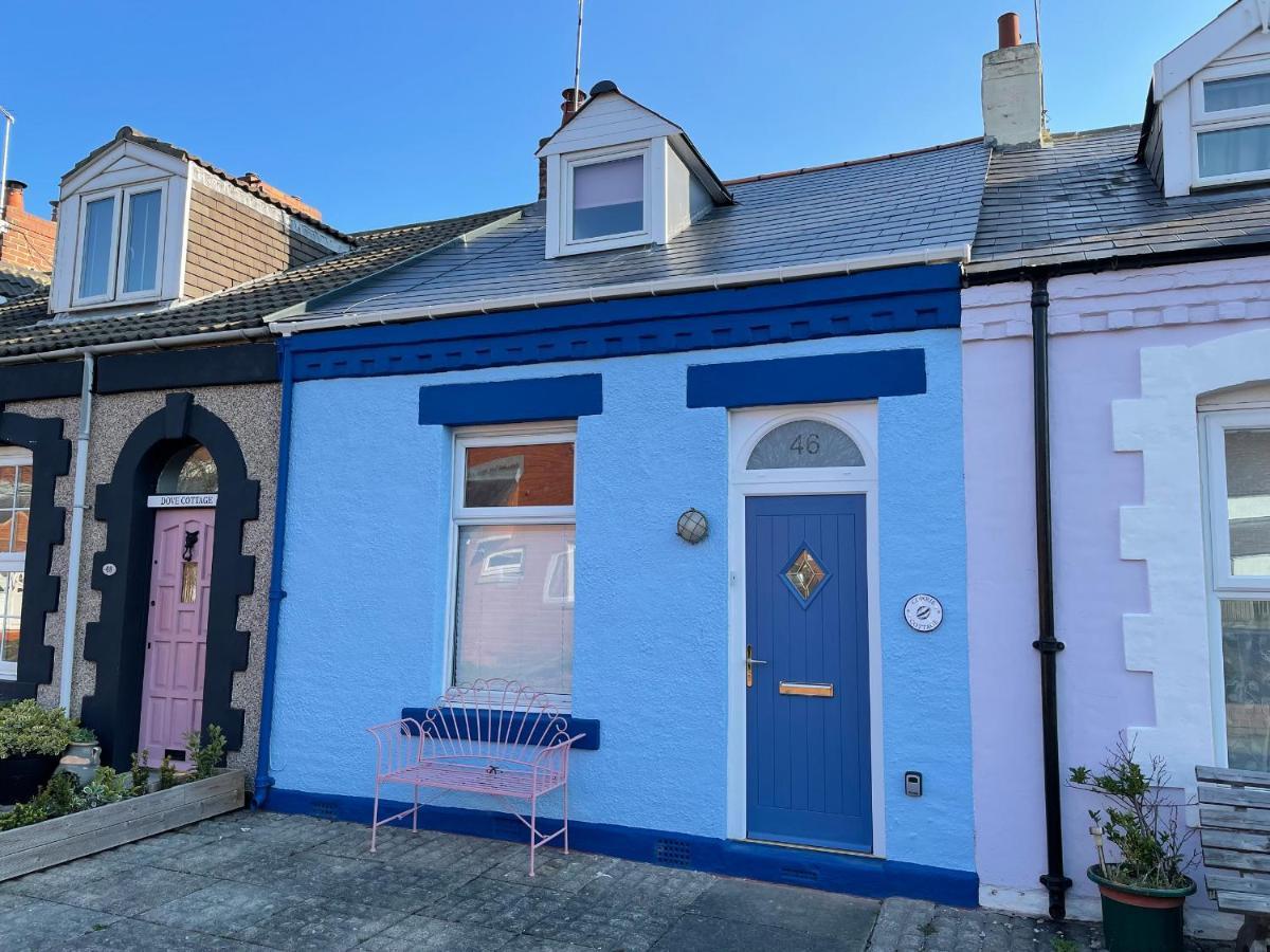 Cowrie Cottage North Shields Dış mekan fotoğraf