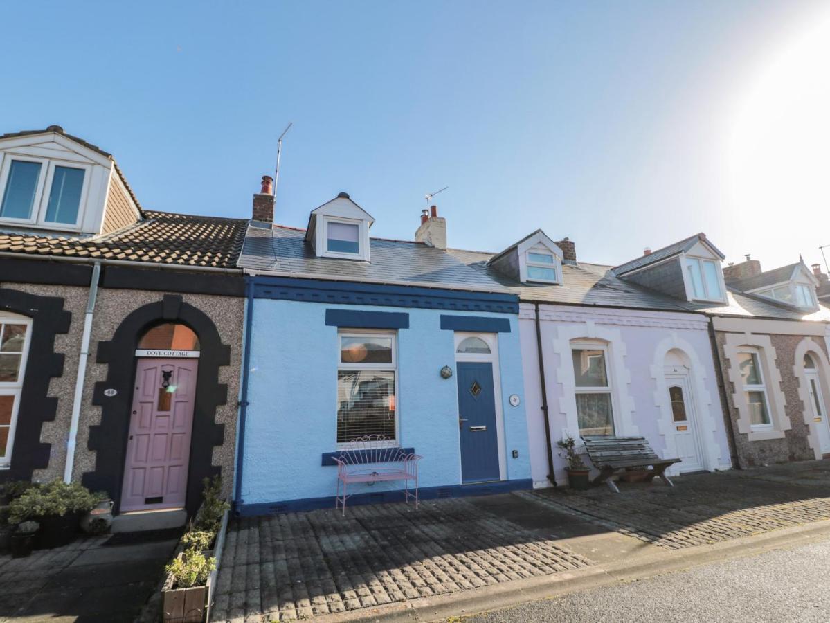 Cowrie Cottage North Shields Dış mekan fotoğraf